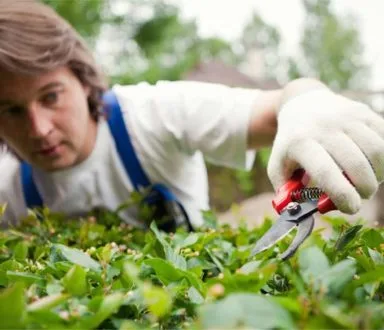 割草机 - 开云体育下载1