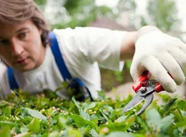 关于 Garden Hub - 开云体育下载1