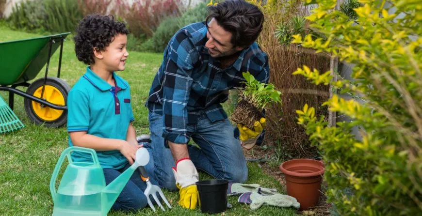 Landscaping: The Best Idea You’ve Ever Had - 开云体育下载1