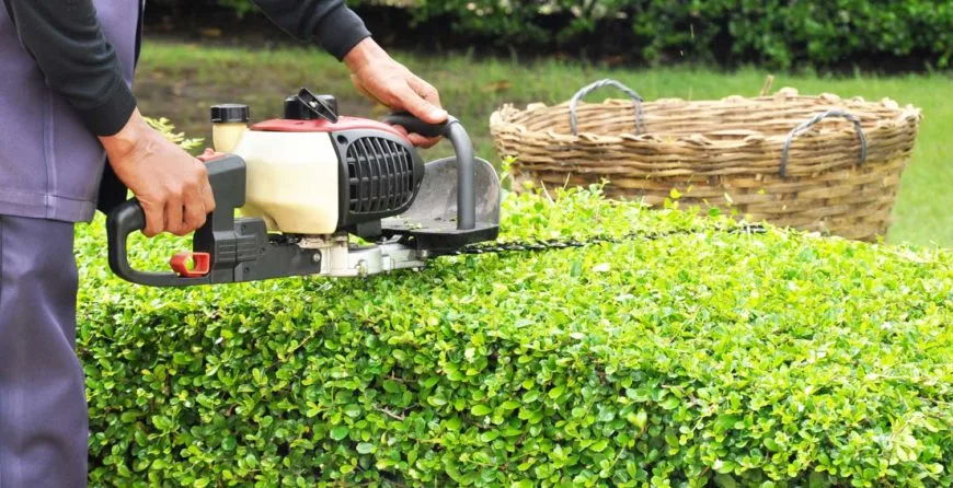 Landscaping: The Best Idea You’ve Ever Had - 开云体育下载1